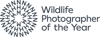 Wildlife Photographer of the Year